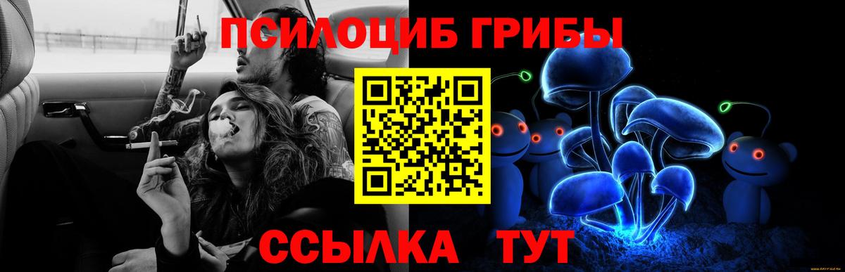 Галлюциногенные грибы Psilocybine cubensis  Псилоцибиновые грибы GOLDEN TEACHER  Кореновск  Вход с VPN 